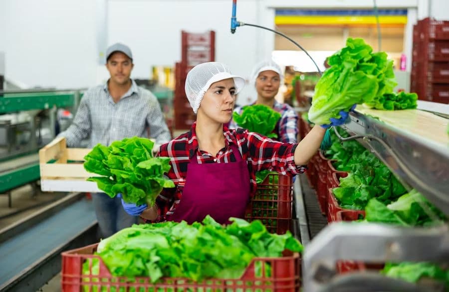 Farm Fresh Vegetables